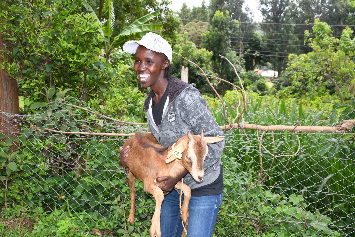 Central Rift Community Development Program tweet media