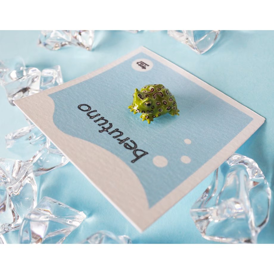 sasacojunior's tweet image. 🐸 No tail, no problem.
Frogs ditched their tails to jump like pros—leaving only the urostyle bone.
This accessory is a tribute to that wild evolution.
#handmade #froglover #pacmanfrog #evolution