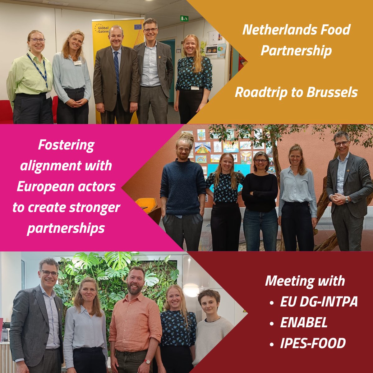 Yesterday, NFP met with @EUDevCo, @ENABEL_Belgium &amp; <a href="/IPESfood/">IPES-Food</a> in Brussels to align on food systems transformation.

Valuable exchanges to strengthen partnerships across the #DiamondApproach.

Grateful for the warm welcome! 🌱🌍