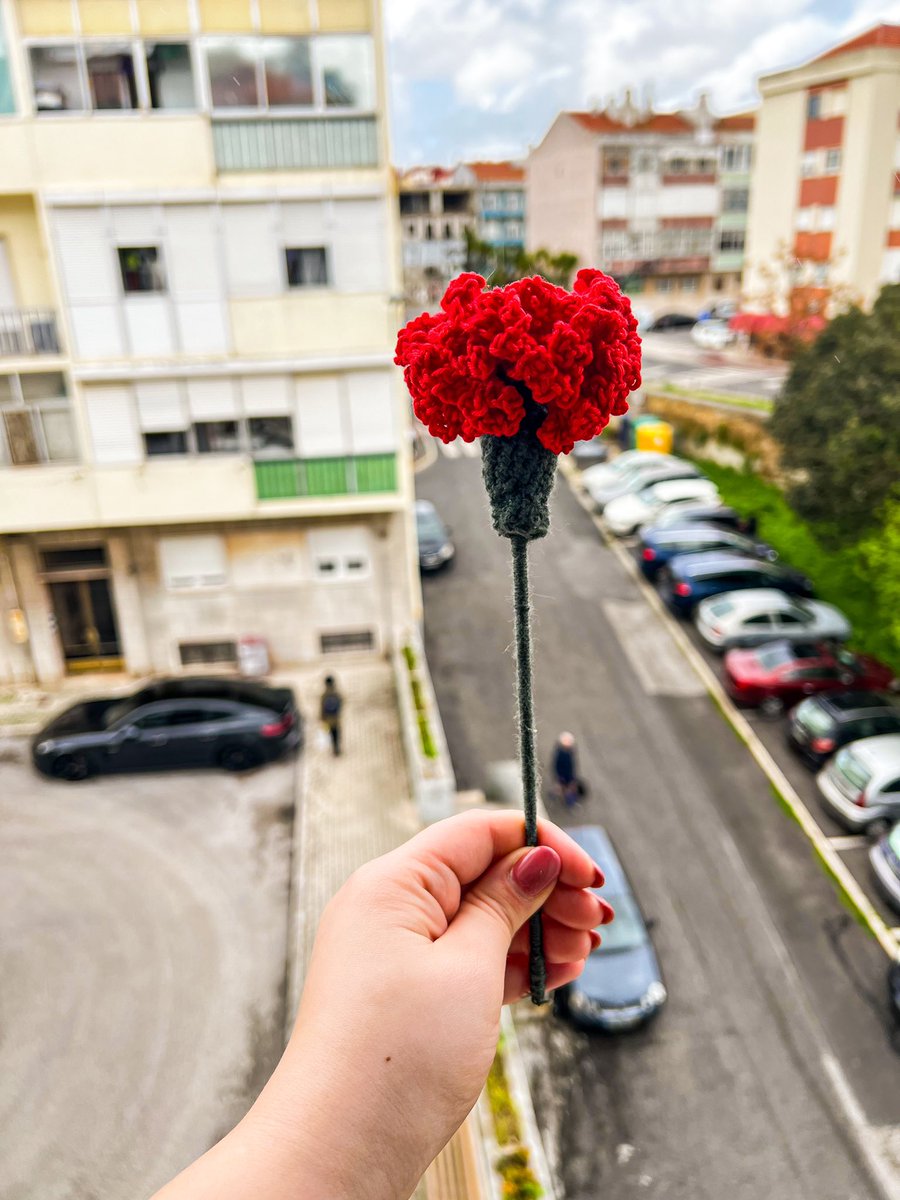 cristinawithc's tweet photo. Ainda aceito encomendas para entrega em mãos, no desfile do 25 de abril ♥️

#25deabril #25deabrilsempre #cravos #liberdade https://t.co/cCoXV0qg6G