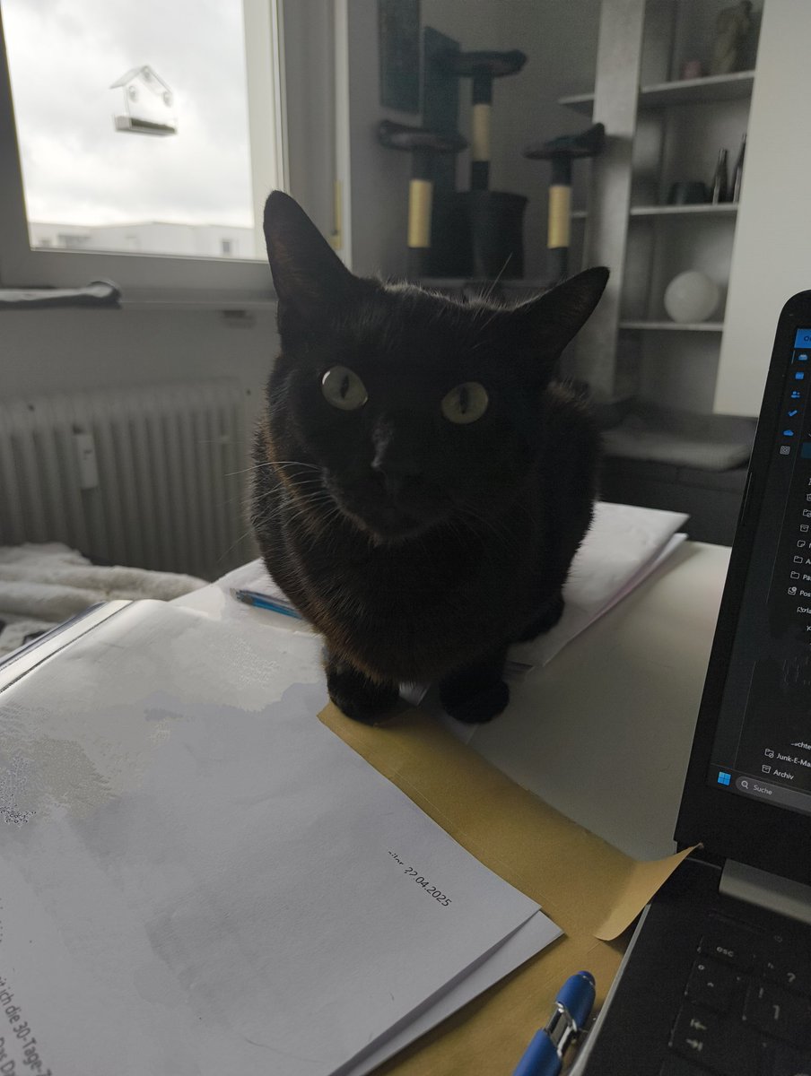 Halber Tag Home-Office schon kriegt man einen neuen Sekretär...