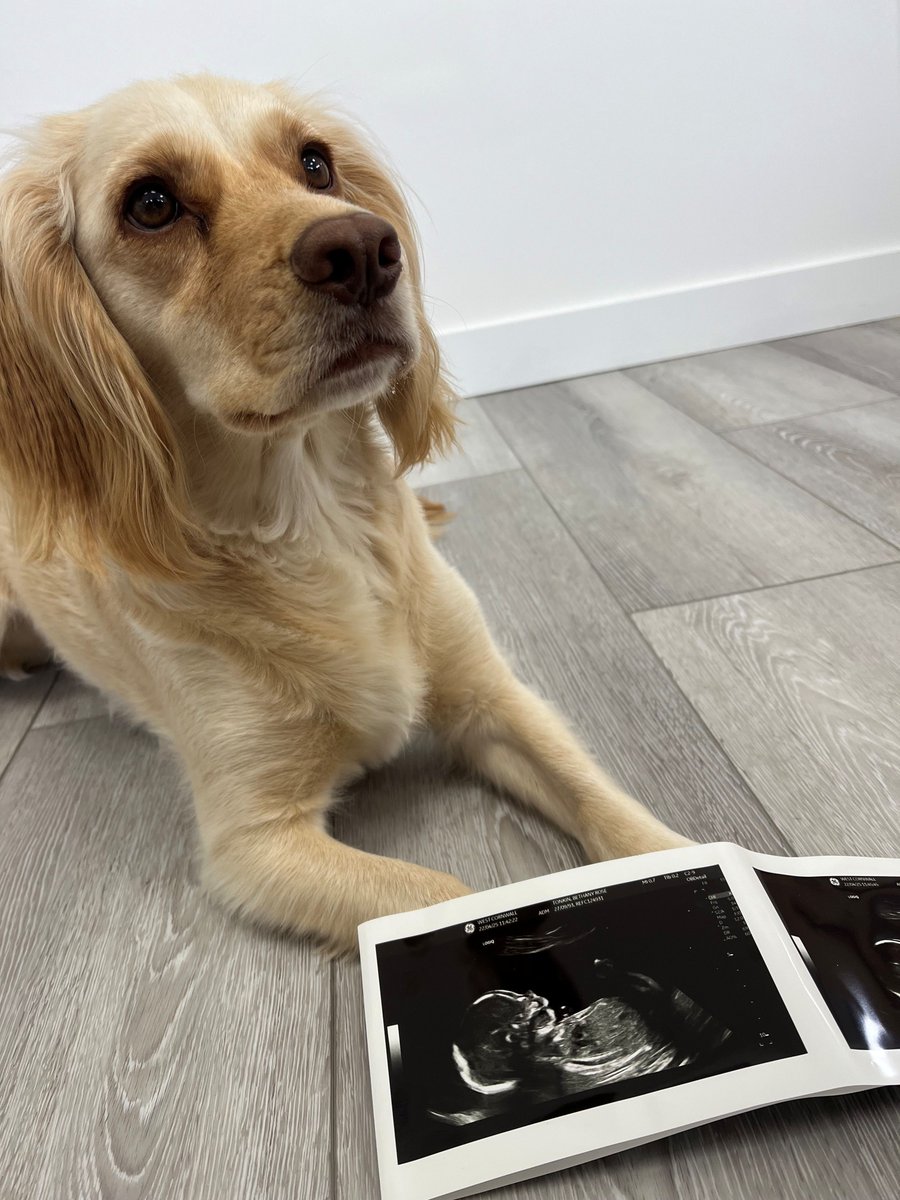 We are thrilled to share the exciting news, that our Directors Beth &amp; Dale, are expecting their first baby together - due September 2025!🧸🤍