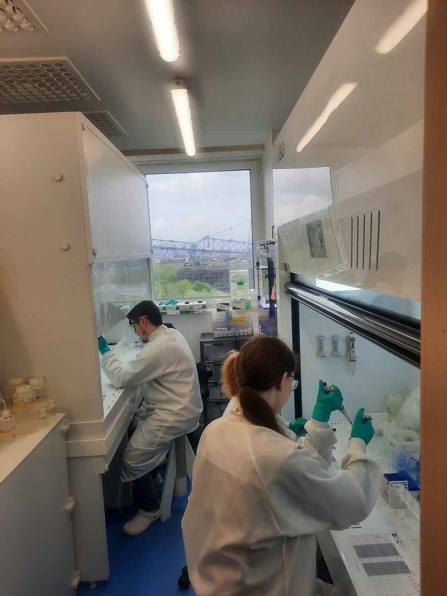 It's been a busy week in the lab with Bachelors and Masters students pretreating cremated bones 🔥🦴 and extracting strontium from 🐐🐄🐎🐖 🦷 tooth enamel to understand mobility 🥼