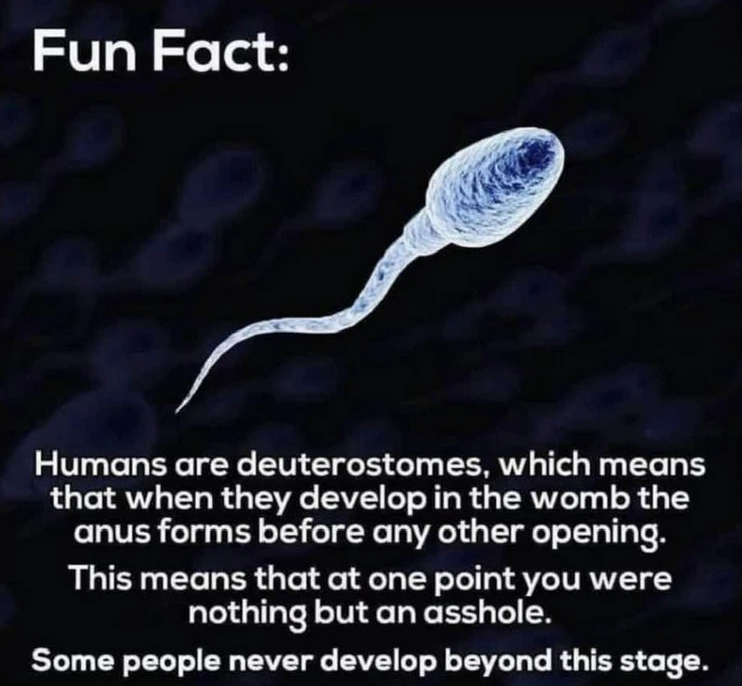 Men's Humor tweet media