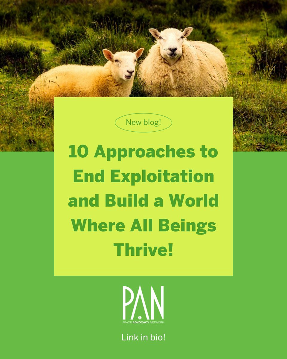 🐏🌈 Learn 10 effective approaches to creating a compassionate world where all beings thrive:
peaceadvocacynetwork.org/10-approaches-…
💚