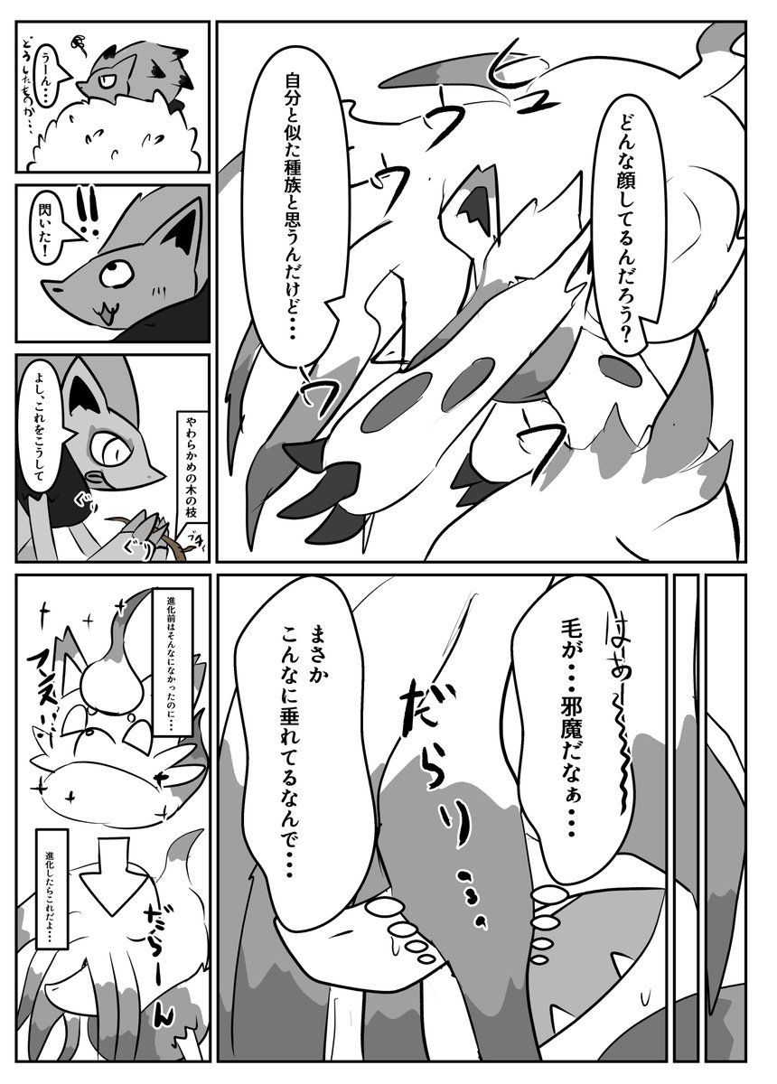(5/5) 