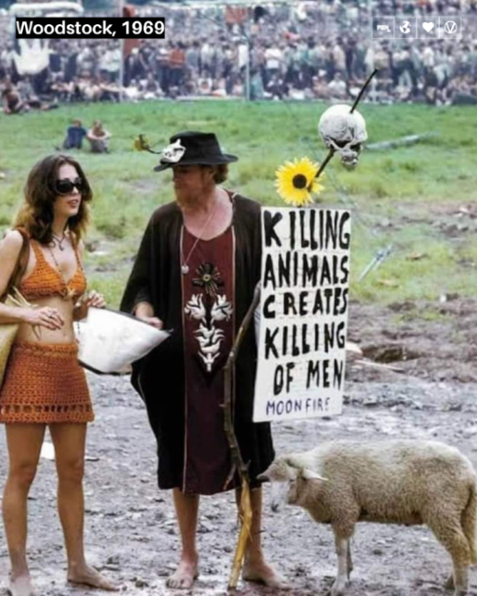 "As long as there are slaughterhouses, there will be battlefields." - Leo Tolstoy