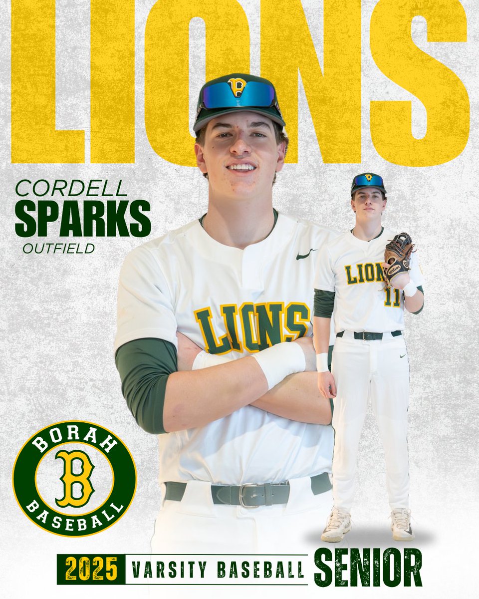 Borah Baseball tweet media
