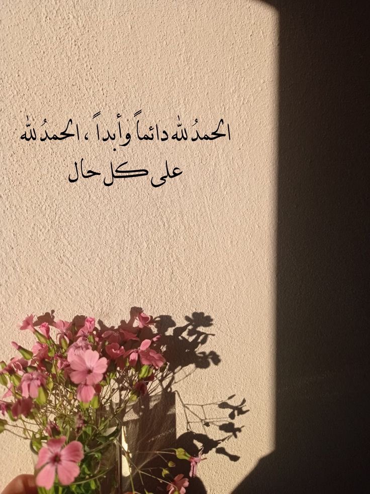 #الخميس_الونيس𓅂

#الشمس_اليوم