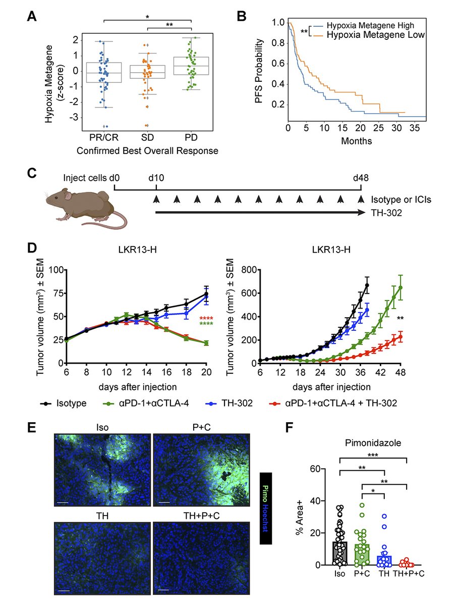 JExpMed's tweet image. Robles-Oteíza, Kaech, Politi et al. provide a rationale for targeting tumor metabolic features, such as #hypoxia, in combination with immune checkpoint inhibition. hubs.ly/Q03j2G8W0

📘 In JEM #Cancer Collection hubs.ly/Q03j2J8y0

#AACR25