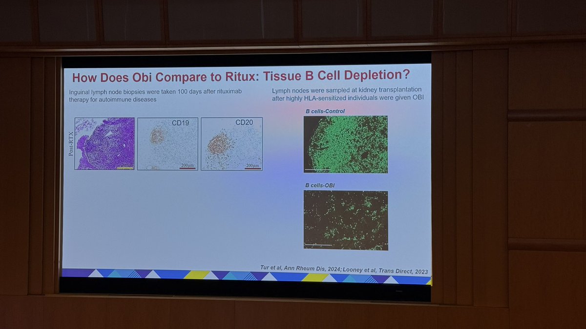 ElfadawyN's tweet image. Difference between #rituximab and #Obi by @BradRovin #CCNephUpdate25