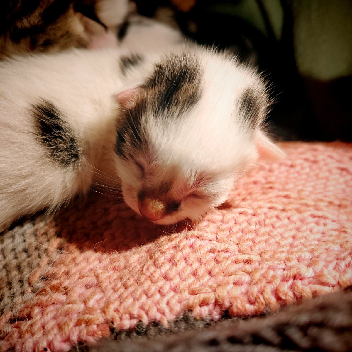 Indieretailgirl tweet media