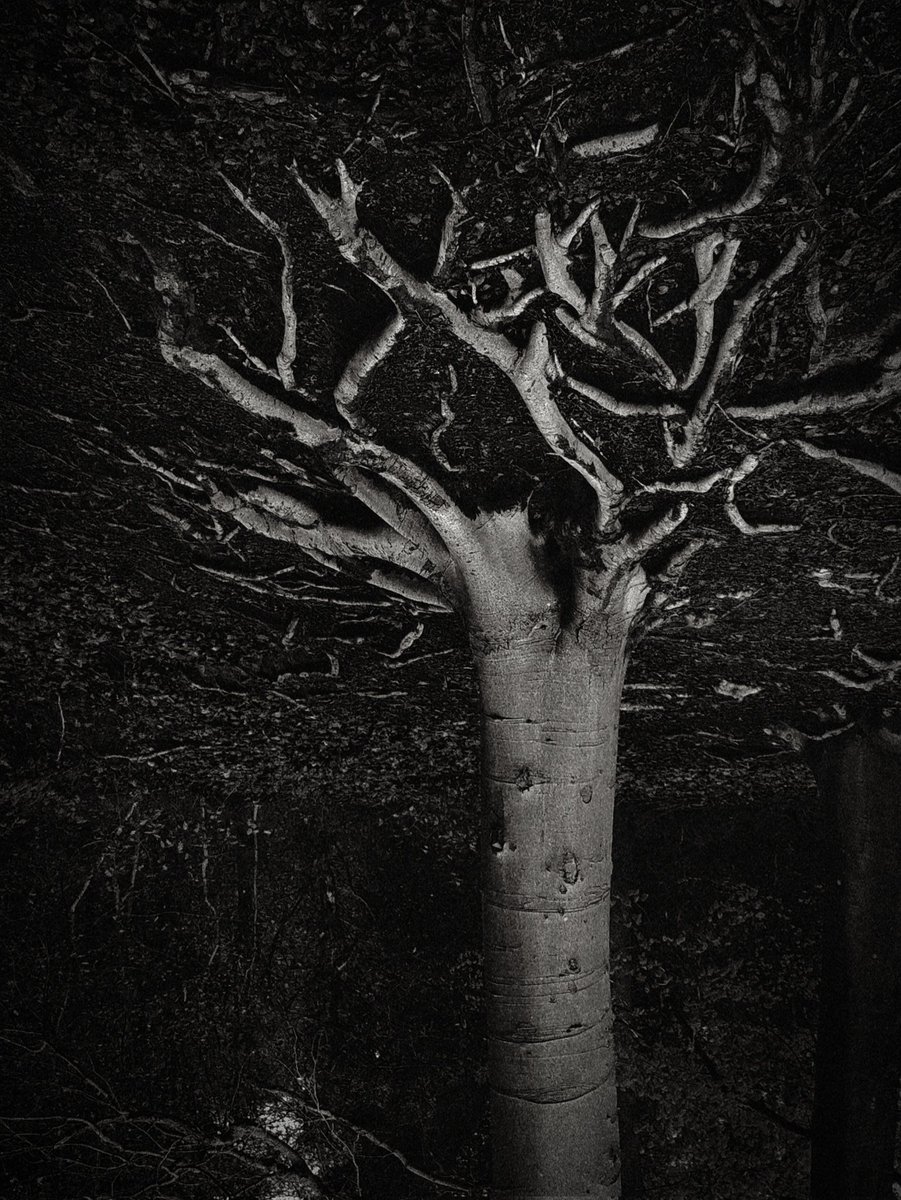 MaridiaFix's tweet image. #NeuralNetworks #blackandwhitephotography