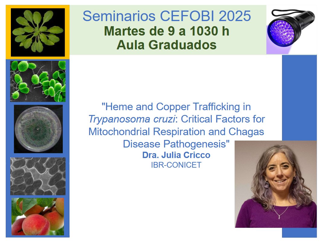 CEFOBI_CONICET's tweet image. Next Speaker @CEFOBI_CONICET Seminars
#juliacricco @Juli_Cricco @IBR_CONICET @MetalTryps