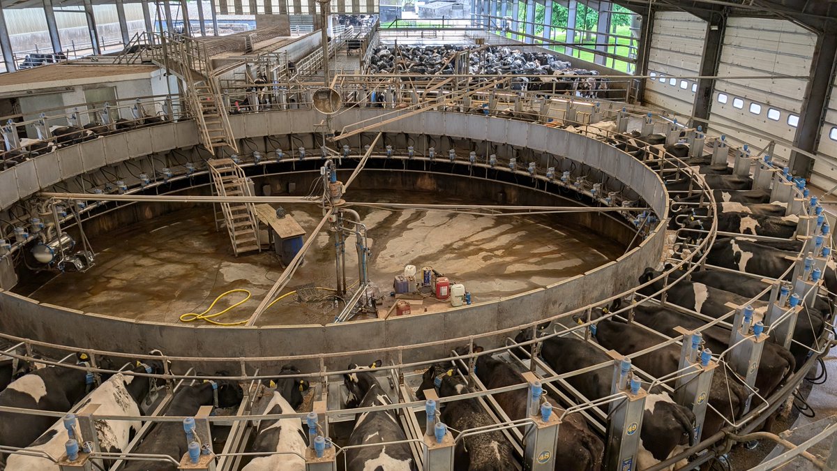 Another great day, this time talking <a href="/CowSignals/">CowSignals Training</a> #FertilitySignals. Many thanks to our hosts <a href="/LyeCrossFarm/">Lye Cross Farm</a> and <a href="/Parsonsfarmsups/">Parsons Farm supplies ltd</a> for lunch. If you are interested in hosting, or attending, a future course then please get in touch. #teamdairy