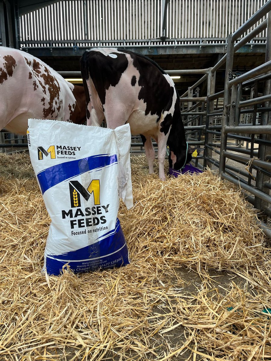 The Sterndale herd from the Nadin family, getting champion heifer and top price at Shrewsbury market show and sale. 

Fed on Massey Feeds - Congratulations to everyone involved. 

// 📸 Jake Manning 

#masseyfeeds #focusedonnutrition
