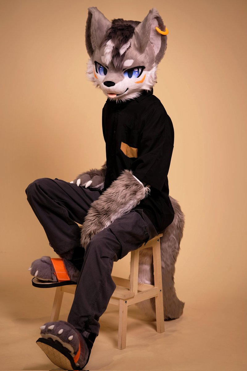 LYKOS_42's tweet image. #FursuitEveryday 

很喜欢的一张！
感觉有点像那种公司的入职照（？）

📷：@woshibingguadie