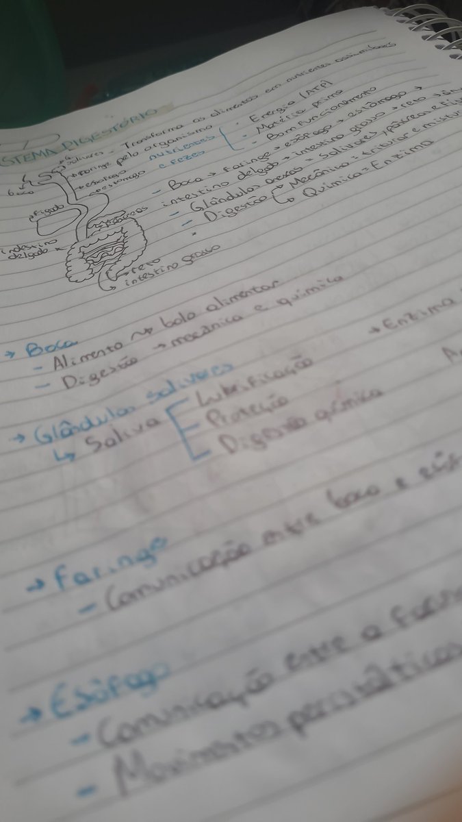 marianaforstudy's tweet photo. Odeio https://t.co/L5YAWkENH4