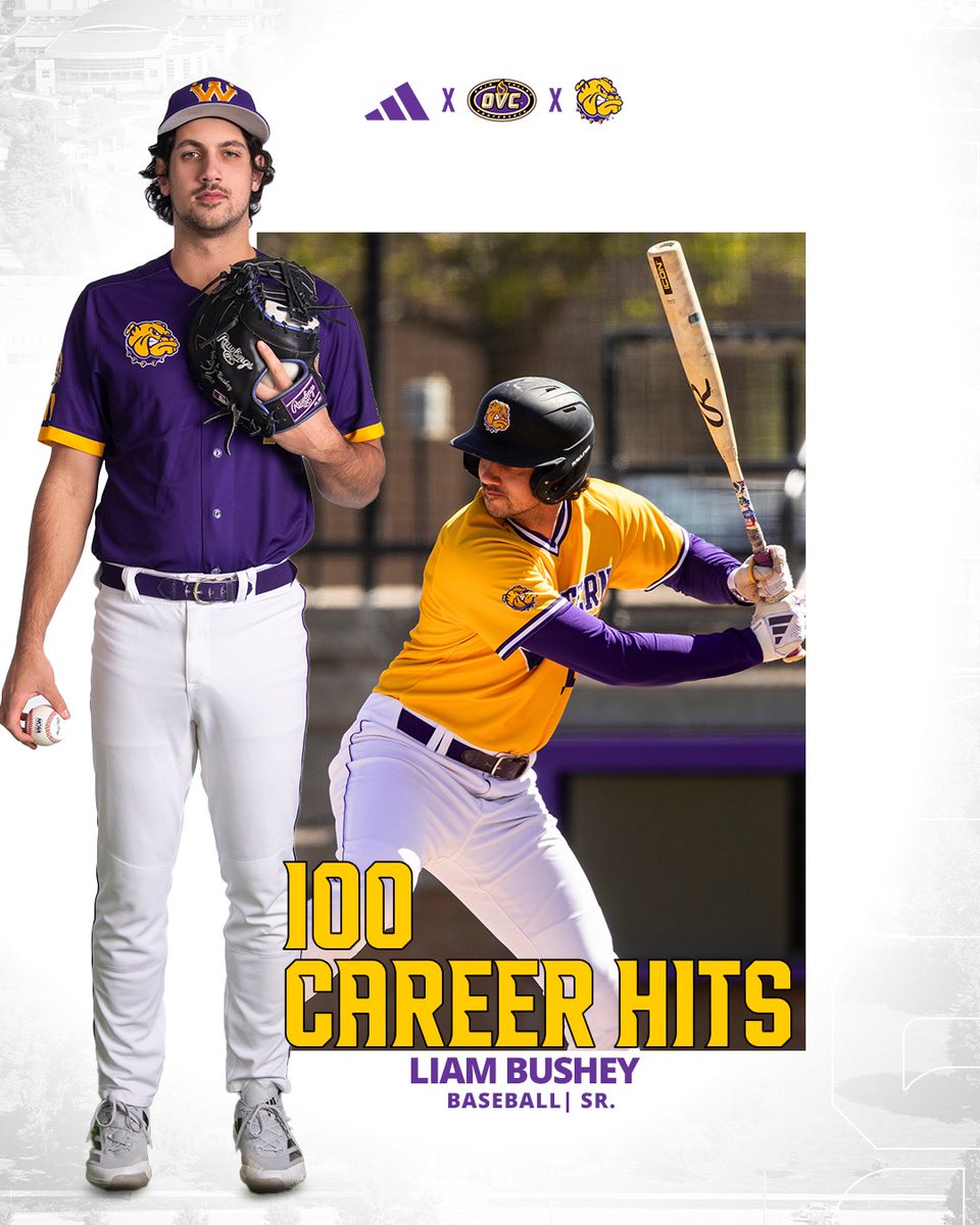 Western Illinois Baseball tweet media