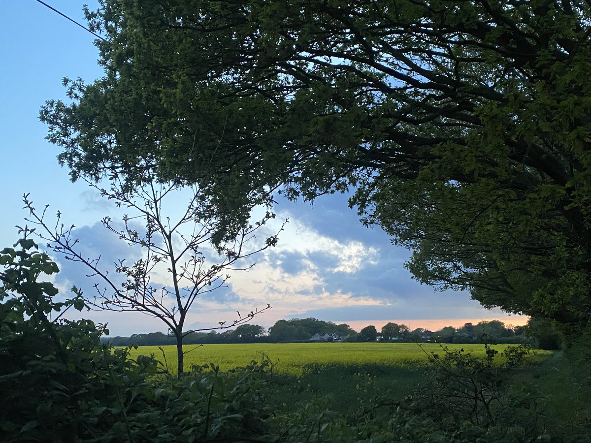 EszterEsztero's tweet image. A good run 🏃 was so much needed after Easter holidays as a reward we got to see a stunning sunset 🌅 display 🧡

#runforfun 
#HealthyLiving