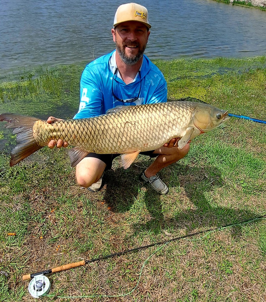 ThePondPros's tweet image. Big ole Smallmouth!!!