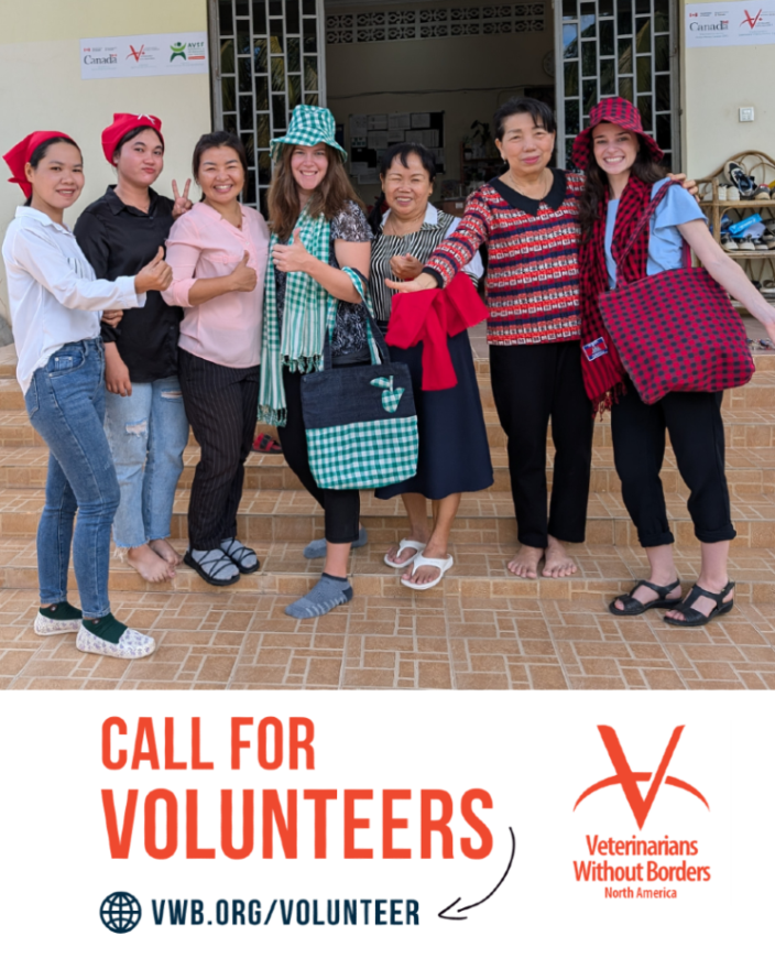 Veterinarians Without Borders tweet media