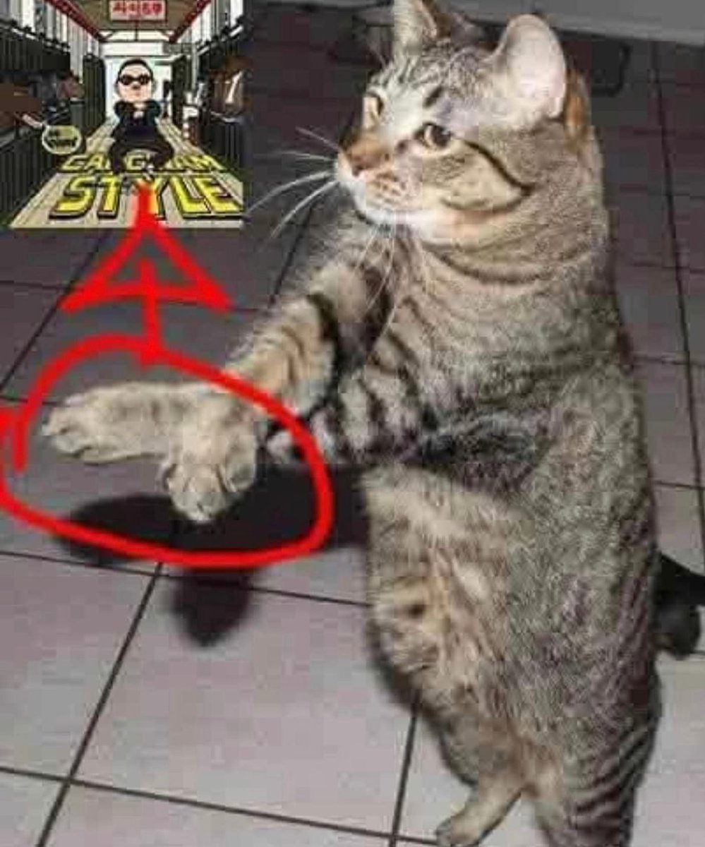 musen 🦡 tweet media