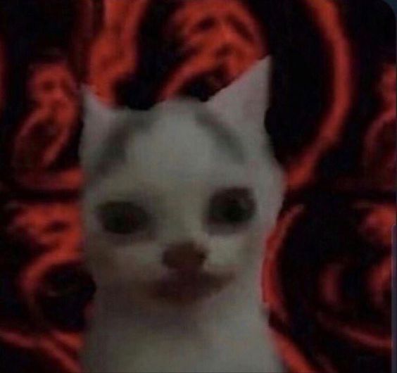 ServerExploit's tweet image. — looking for interactive moots! ꒰ᐢ. .ᐢ꒱   𐙚 
23 he/him
val, ow, mc, roblox, genshit, phasmo
EUW, 🇧🇪
gold val and bad in overwatch
open to playing new games
i love sleeping, music, and cats

♡ + ↻ to be mutuals !

#promotwt #valtwt #owtwt