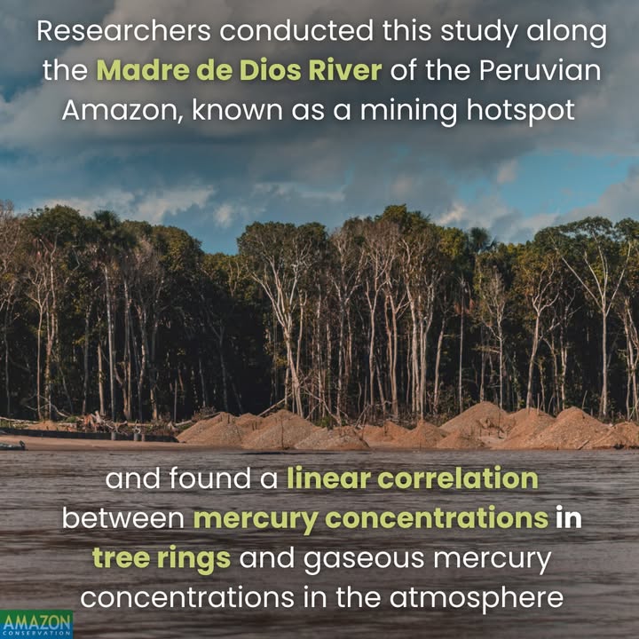 Amazon Conservation tweet media