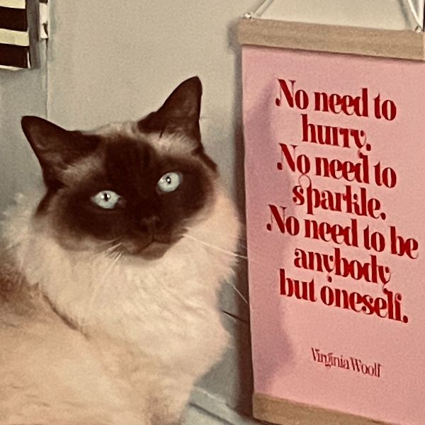 🌱 Sing in the Spring (and summer!) with me! 🌞 - mailchi.mp/0f436a261a17/s…