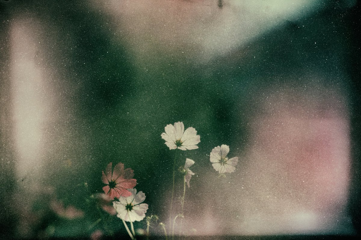 Shuichi Machimoto 町本修一。 (@machimoto19801) on Twitter photo 