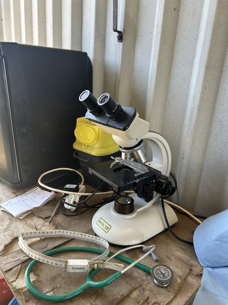 Having been scanned 📏 ⚖️ 🥩 last week all of our ‘24 born bulls both Angus and Shorthorn have been semen tested and vet inspected this week. 
This all helps focus our breeding decisions and gives our customers the confidence to invest in Chapelton genetics. 🧬