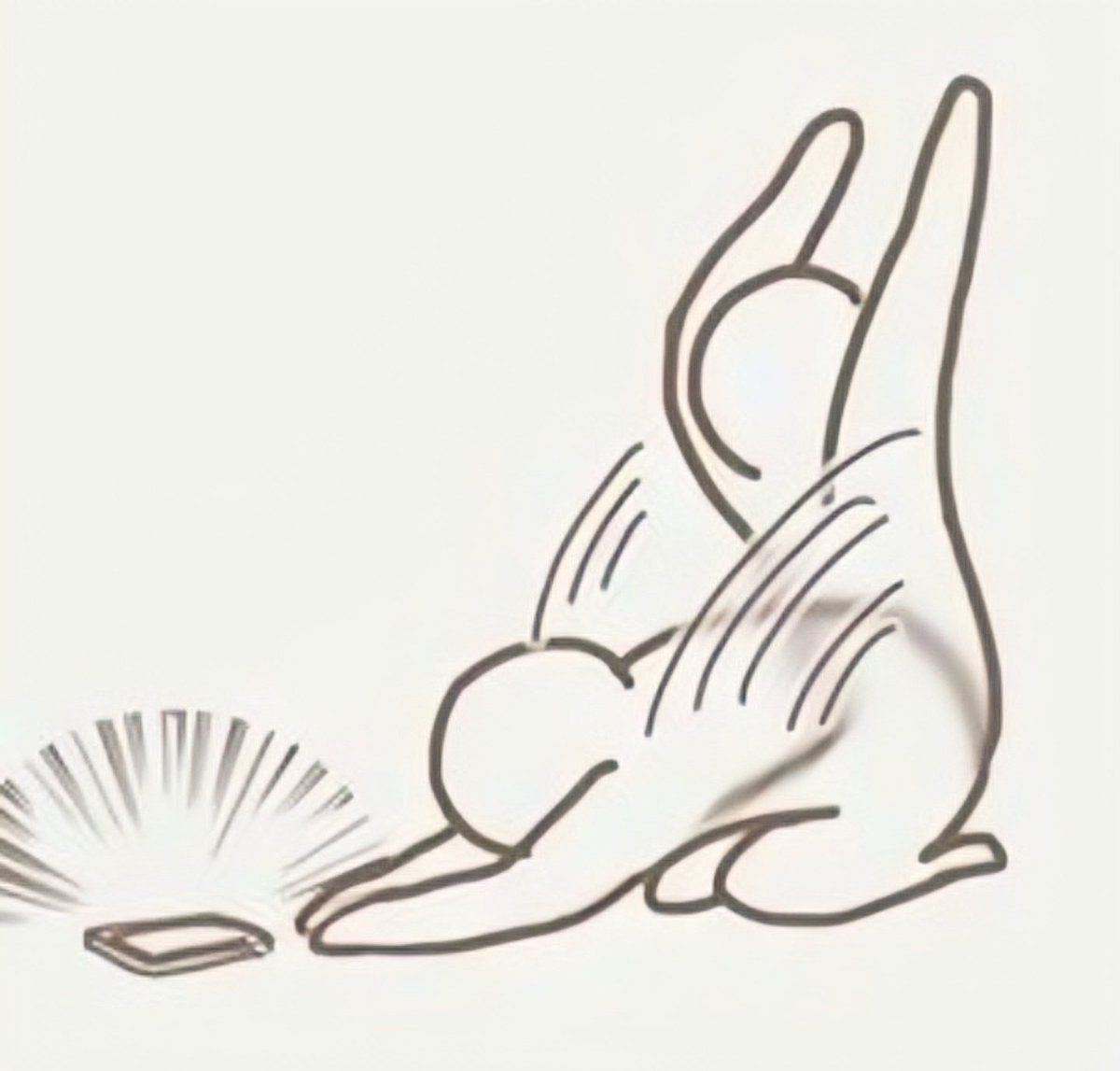 Chiquinqui19376's tweet image. #Shellboy