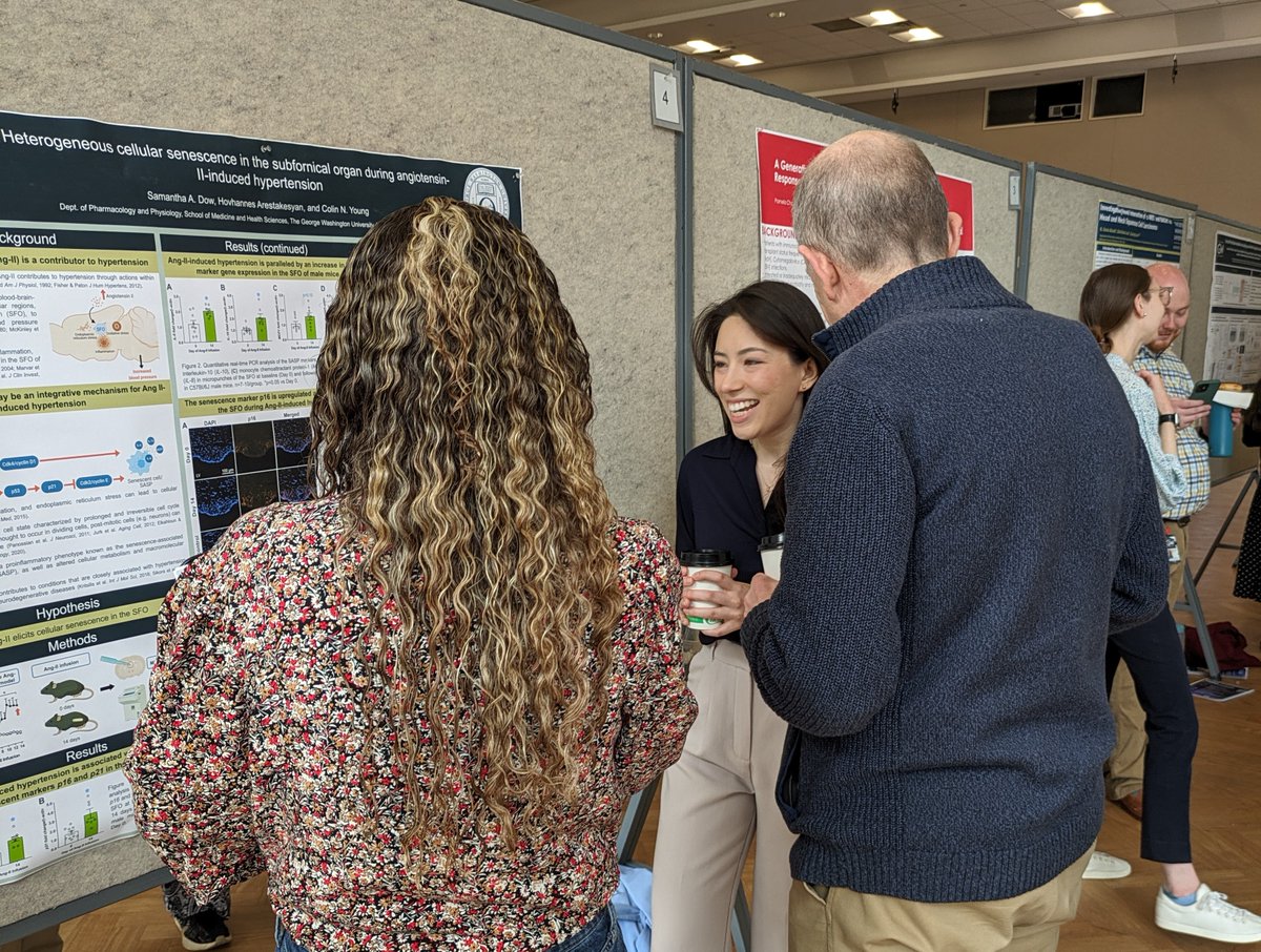 GW_IBS's tweet image. We are looking forward to our 2025 SMHS Research Showcase taking place on Weds April 30! Join us from 9:00-11:30am for our graduate program posters (including GWIBS) and a keynote from Dr. Serena Spudich at noon! Full details here: smhs.gwu.edu/research/resea…