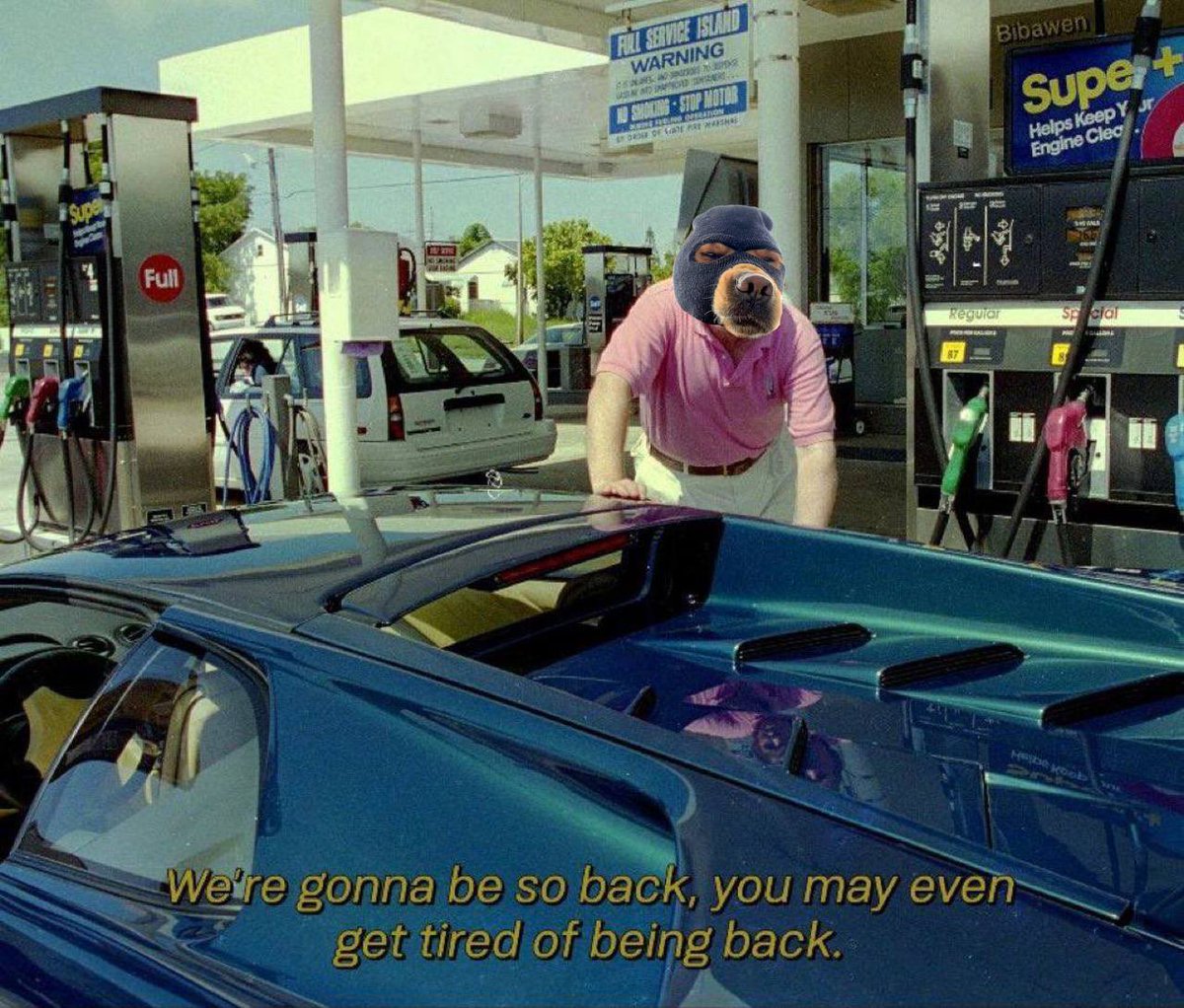 Ski_CTO's tweet image. $SKI gang knows..