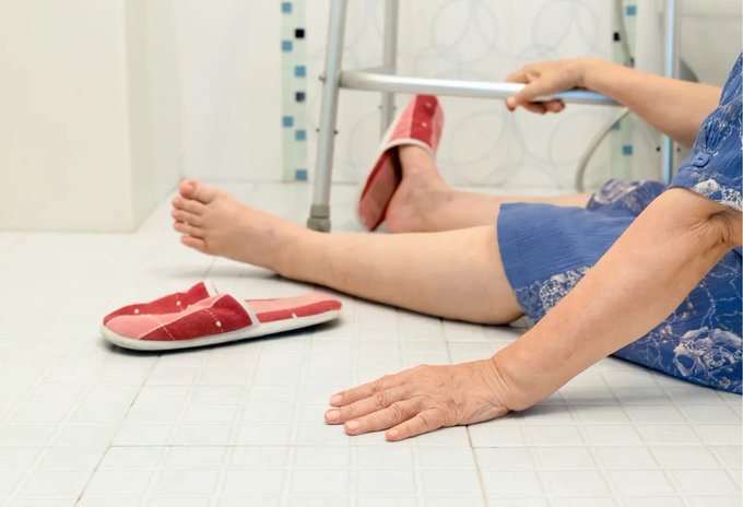 Image in tweet by The Vigilant Fox 🦊