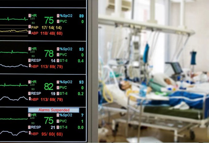 Image in tweet by The Vigilant Fox 🦊