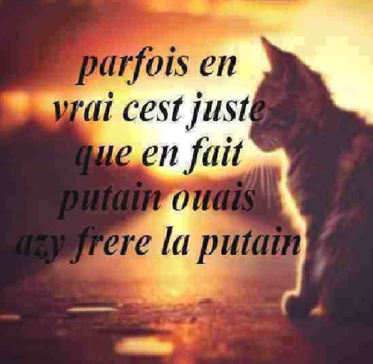 maximator tweet media