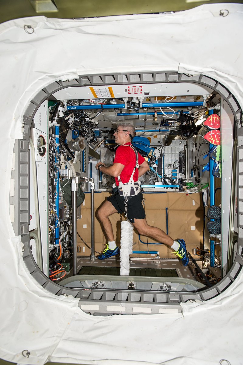 Patient recoveries on Earth are getting a boost from space tech! 🏃

Learn how exercise equipment to keep astronauts fit in microgravity led to the development of an anti-gravity treadmill that's helping Earth patients regain their strength. spinoff.nasa.gov/Space_Tech_Giv…