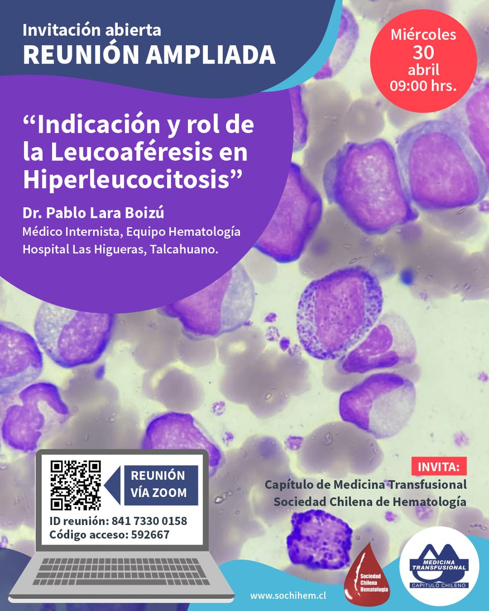 WEBINAR ABRIL | CONÉCTATE A LA SEGUNDA REUNIÓN AMPLIADA DE 2025👨🏽‍💻
Te esperamos el 30 de abril, a las 09:00 horas, a una nueva Reunión Ampliada, cuyo tema será: “Indicación y rol de la Leucoaféresis en Hiperleucocitosis”.
Conéctate con el código QR y datos de la gráfica.