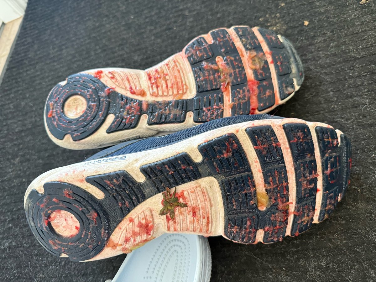 SQUASHED the hell out of some stuff earlier. DM me if you’re curious 😏

#malefeet #sneakers #crush #macro #giant #malegiant #shoe