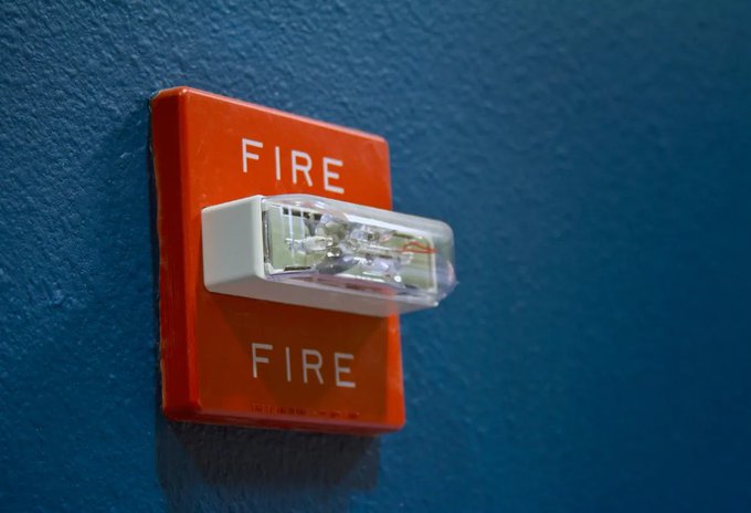 Image in tweet by The Vigilant Fox 🦊