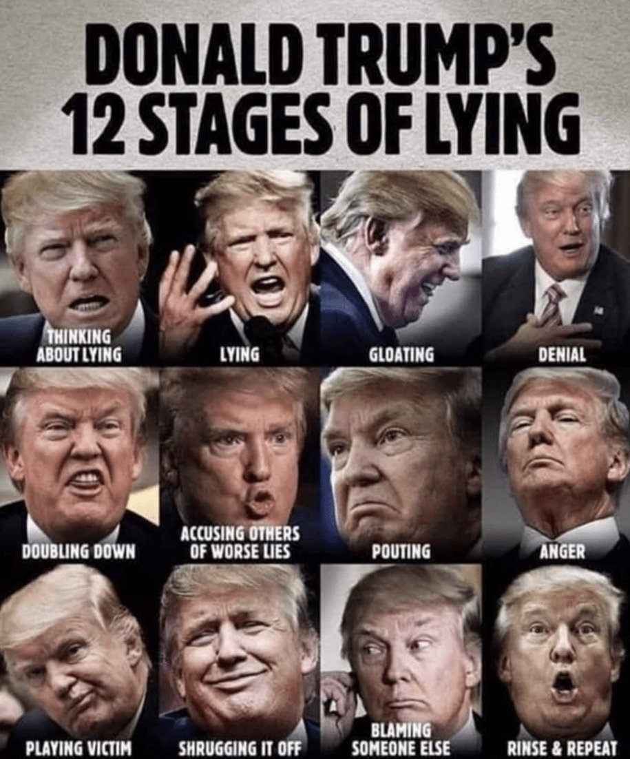 <a href="/ddale8/">Daniel Dale</a> All trump does is lie!