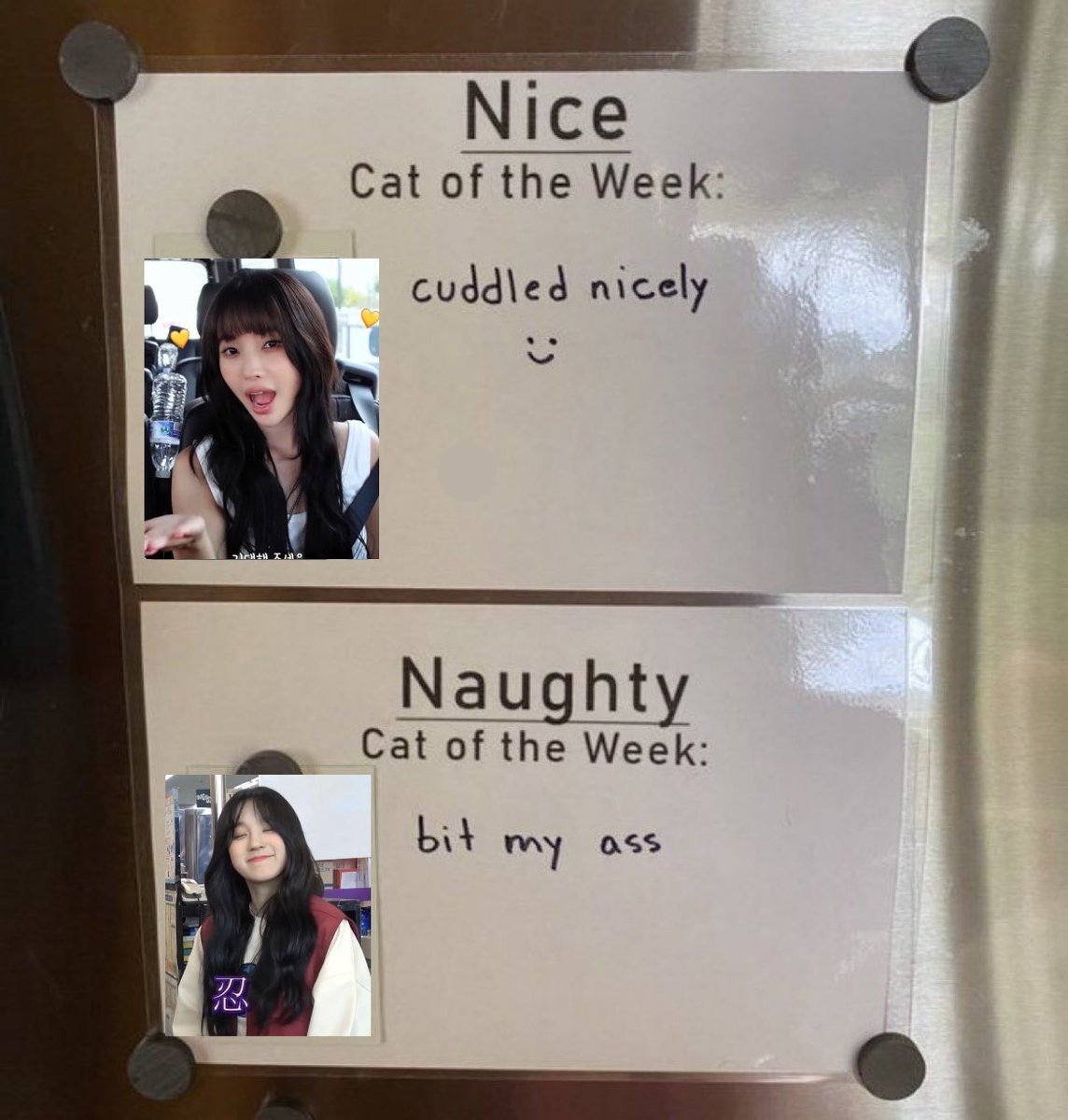 soyeonbrain's tweet image. 