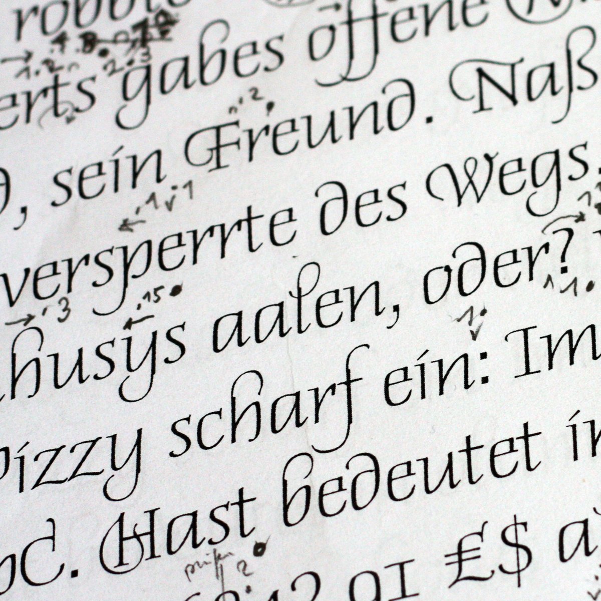 Ludwig Übele tweet media