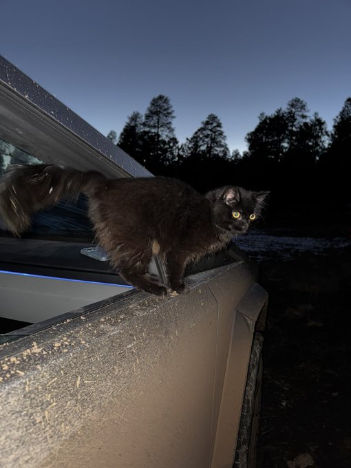 Watch Dante Colle ®'s leaked NSFW photo on TwXstars