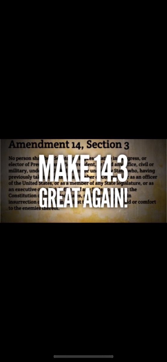 Ingridebap's tweet photo. Ditto but with a slight variation: We never supported this treasonous, criminal & corrupt scumbag and neither does our U.S. Constitution 14.3, the law of the land.
Trump is constitutionally disqualified from holding office.
Let’s #NullVoid his ass & the minions condoning him! https://t.co/FrhOGwIktD