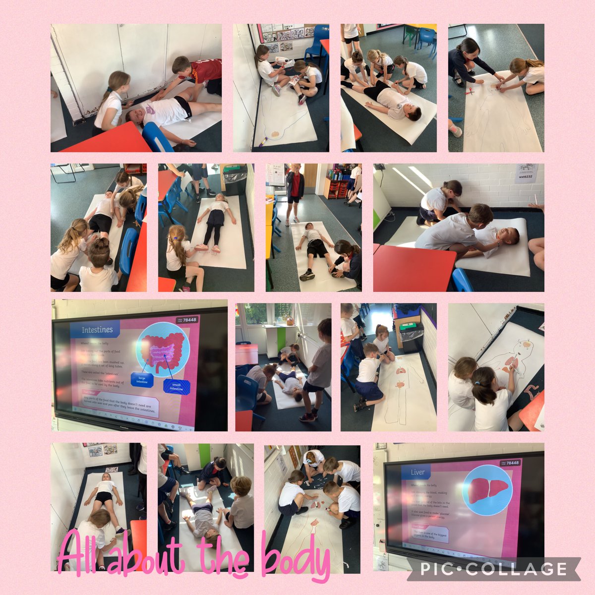 Masefield Primary School tweet media