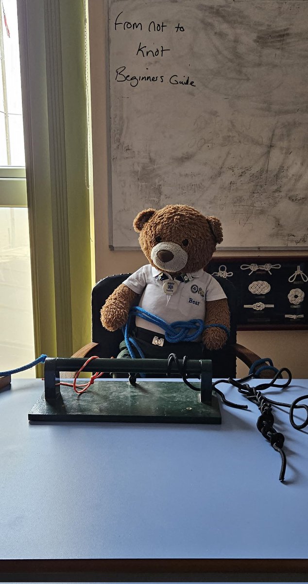BDMed_Bear's tweet photo. Day 3 of #BearsWeekAtLion learning awesome #nautical stuffs @NSTCLion &amp; I did knots which was SO HARD but with help I managed a decent figure of eight knot, then it was flags &amp; these flags spell out BEAR &amp; I got to run them up the flagpole &amp; fly my name in flags!  #bearswithjobs https://t.co/O9bKXIyPDz