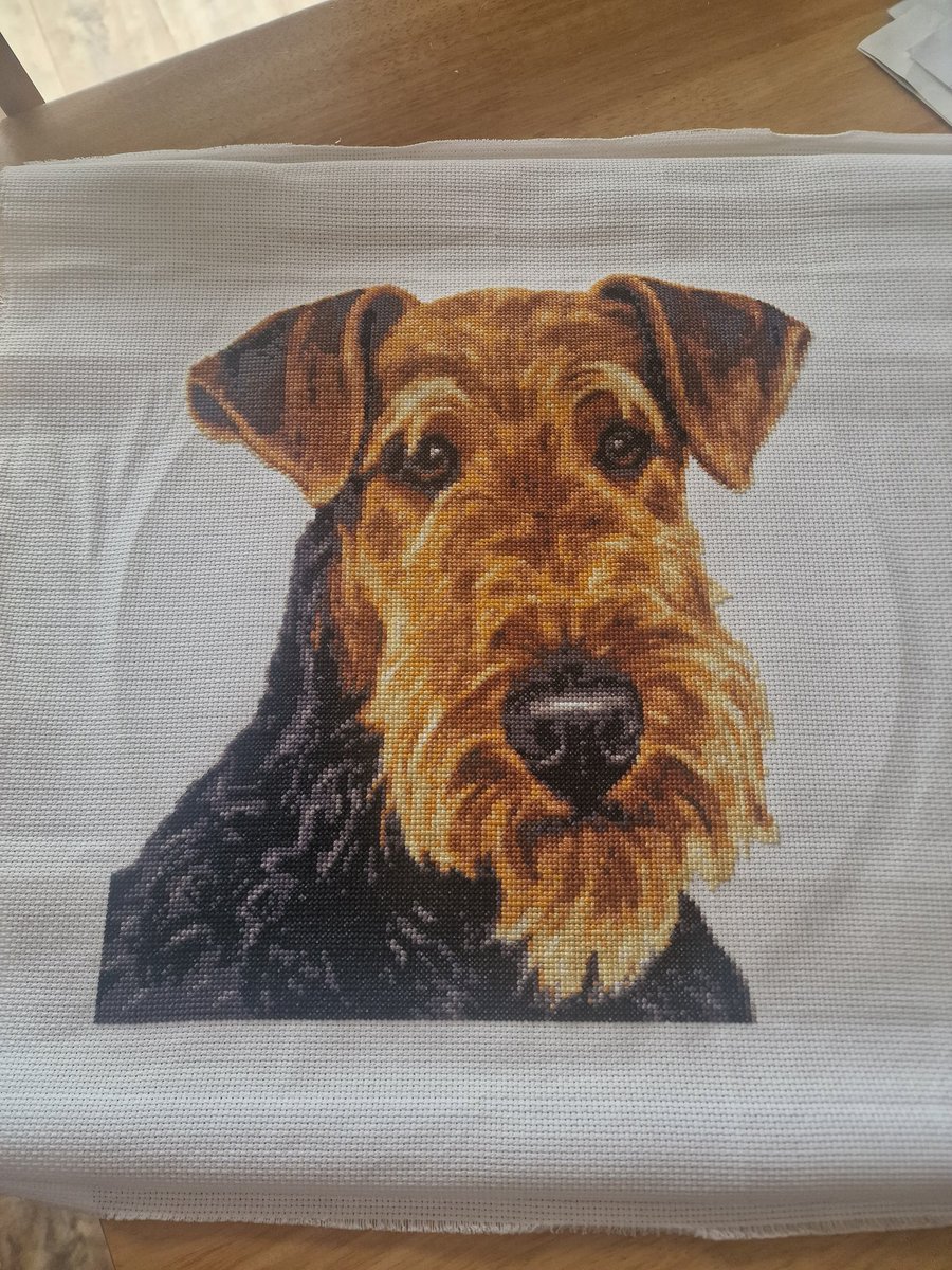 I started a cross stitch project at the start of the year , and I've finally finished it !!! I think its so like my Ted xxx